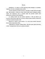 Referāts 'Pamatteorijas menedžmentā', 2.