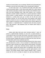 Referāts 'Pamatteorijas menedžmentā', 19.