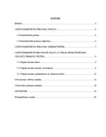 Referāts 'Pašnodarbinātās personas nodokļi', 2.