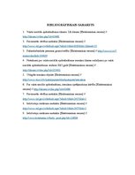 Referāts 'Pašnodarbinātās personas nodokļi', 20.