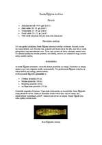 Konspekts 'Senās Ēģiptes kultūra', 1.