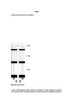 Konspekts 'Senās Ēģiptes kultūra', 2.