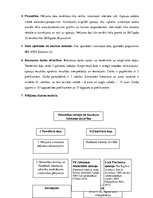 Diplomdarbs 'Personības iezīmju un Facebook lietošanas sakarības', 9.