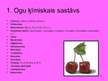 Prezentācija 'Ogas', 2.