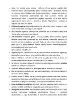 Konspekts 'Vides termini', 6.