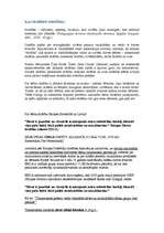 Konspekts 'Kas ir bērnu drošība', 1.