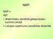 Prezentācija 'IKP un NKP', 15.