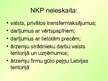 Prezentācija 'IKP un NKP', 16.