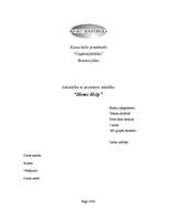 Biznesa plāns 'Sabiedrība ar ierobežotu atbildību "Home Help" ', 1.