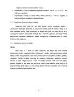 Biznesa plāns 'Sabiedrība ar ierobežotu atbildību "Home Help" ', 6.