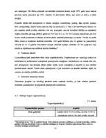 Biznesa plāns 'Sabiedrība ar ierobežotu atbildību "Home Help" ', 21.