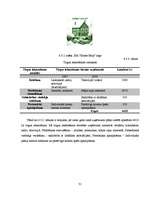 Biznesa plāns 'Sabiedrība ar ierobežotu atbildību "Home Help" ', 31.