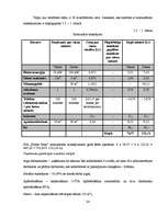 Biznesa plāns 'Sabiedrība ar ierobežotu atbildību "Home Help" ', 34.