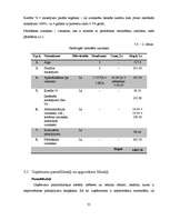 Biznesa plāns 'Sabiedrība ar ierobežotu atbildību "Home Help" ', 35.