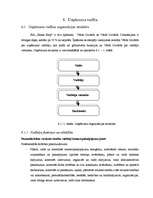 Biznesa plāns 'Sabiedrība ar ierobežotu atbildību "Home Help" ', 39.