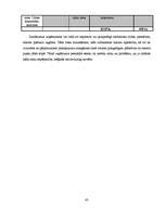 Biznesa plāns 'Sabiedrība ar ierobežotu atbildību "Home Help" ', 45.