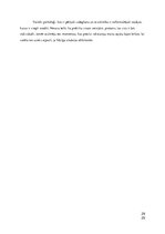 Referāts 'Manas izdegšanas analīze un pašpalīdzības koncepts', 26.