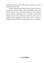 Referāts 'Galvojums', 6.