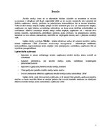 Referāts 'Sociālo mediju kontu izmantošana uzņēmuma CRM', 3.