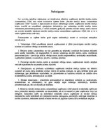 Referāts 'Sociālo mediju kontu izmantošana uzņēmuma CRM', 12.