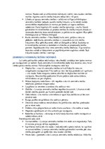 Konspekts 'Livonijas laiks', 7.