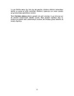 Referāts 'Emocionālās smadzenes', 11.