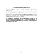 Referāts 'Emocionālās smadzenes', 29.