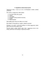 Referāts 'Emocionālās smadzenes', 34.
