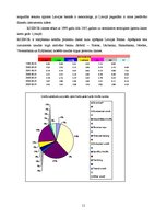 Referāts 'Kreditēšanas tirgus Latvijā (1999.-2005.g.)', 11.