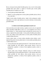 Diplomdarbs 'Debitoru uzskaite, kontrole un analīze budžeta iestādē', 34.