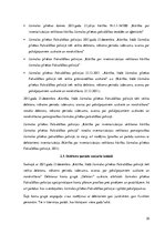 Diplomdarbs 'Debitoru uzskaite, kontrole un analīze budžeta iestādē', 35.