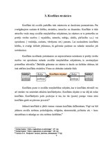 Referāts 'Konflikta būtība, struktūra, veidi - vispārējais raksturojums', 9.