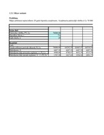 Konspekts 'Investīciju ekonomika', 19.