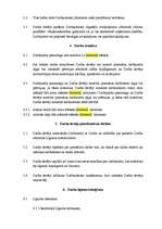 Paraugs 'Darba līgums', 3.