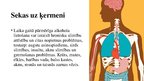Prezentācija 'Alkohola ietekme uz organismiem', 10.