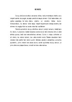 Referāts 'Durvju dizaina attīstības vēsture Latvijā', 8.