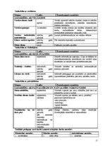 Prakses atskaite 'Pirmsdiploma prakses atskaite', 17.