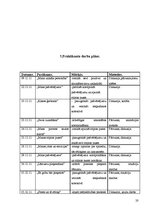 Prakses atskaite 'Pirmsdiploma prakses atskaite', 20.