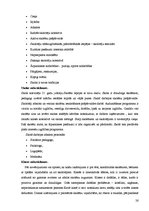 Prakses atskaite 'Pirmsdiploma prakses atskaite', 26.