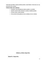 Prakses atskaite 'Pirmsdiploma prakses atskaite', 27.