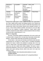 Prakses atskaite 'Pirmsdiploma prakses atskaite', 29.