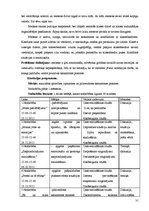 Prakses atskaite 'Pirmsdiploma prakses atskaite', 31.