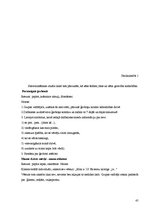 Prakses atskaite 'Pirmsdiploma prakses atskaite', 45.