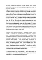 Referāts 'Tirgus pieejas koncepcijas piemērošanas perspektīvas publiskās administrācijas s', 5.