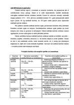 Referāts 'Kaučuks', 5.