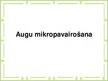 Prezentācija 'Augu mikropavairošana', 1.