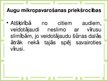 Prezentācija 'Augu mikropavairošana', 7.