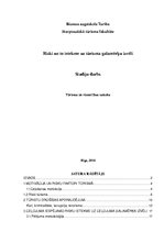 Referāts 'Riski un to ietekme uz tūrisma galamērķu izvēli', 1.