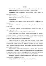 Referāts 'Riski un to ietekme uz tūrisma galamērķu izvēli', 3.