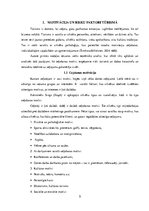 Referāts 'Riski un to ietekme uz tūrisma galamērķu izvēli', 5.